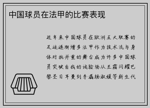 中国球员在法甲的比赛表现