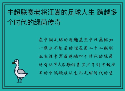 中超联赛老将汪嵩的足球人生 跨越多个时代的绿茵传奇