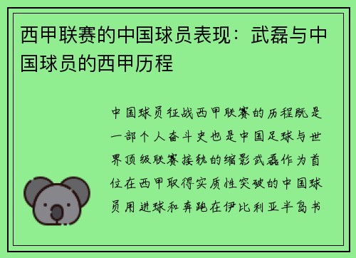 西甲联赛的中国球员表现：武磊与中国球员的西甲历程